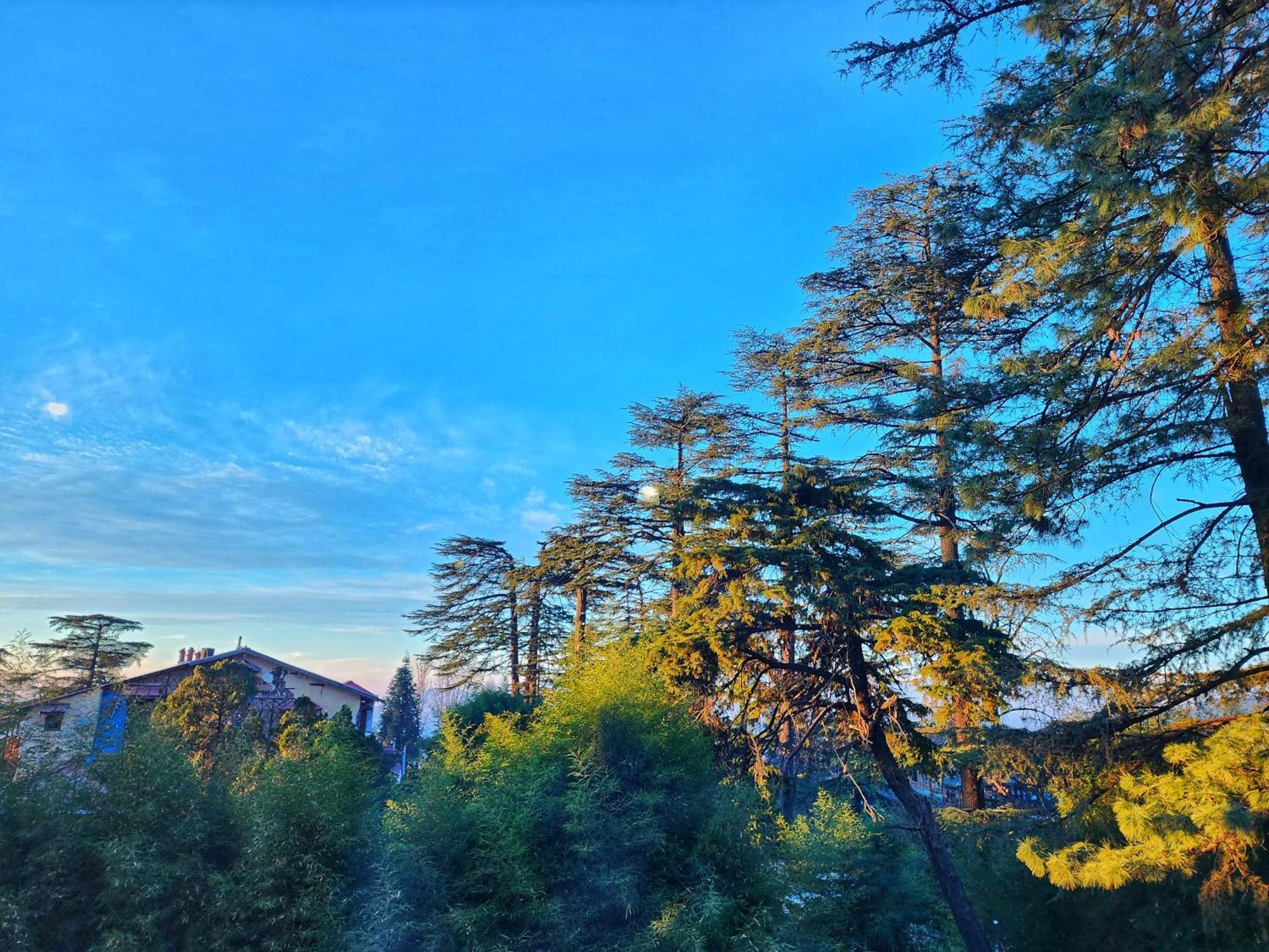 Hotel Pineview Shimla Exterior foto