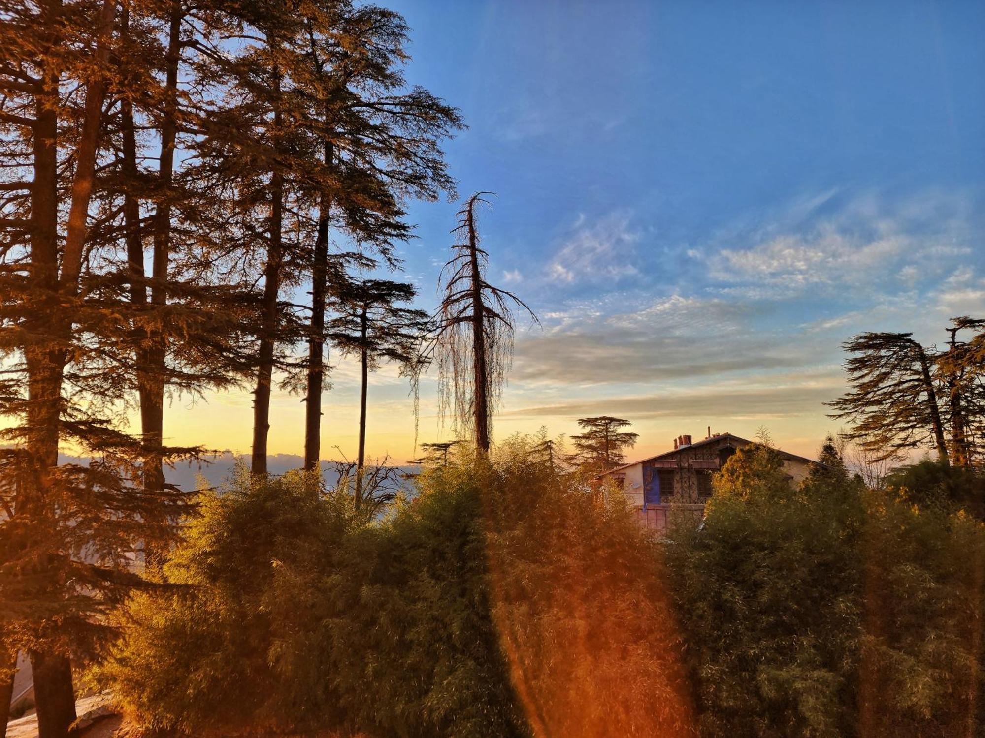 Hotel Pineview Shimla Exterior foto