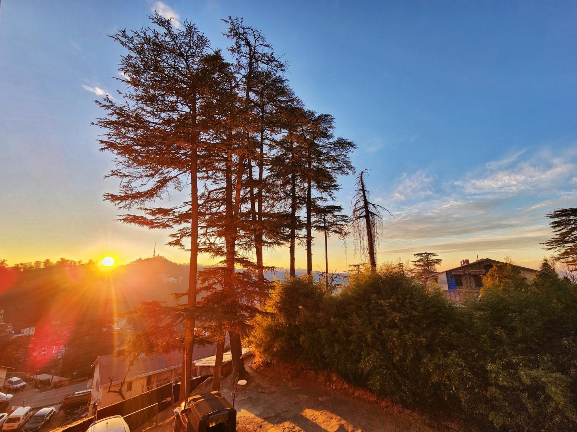 Hotel Pineview Shimla Exterior foto