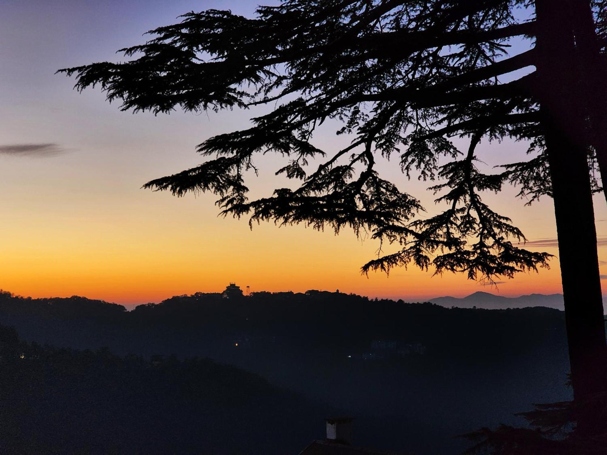 Hotel Pineview Shimla Exterior foto